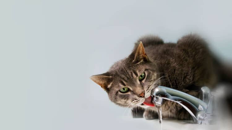 Full Home Filtration System