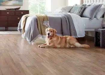 flooring for pet owners