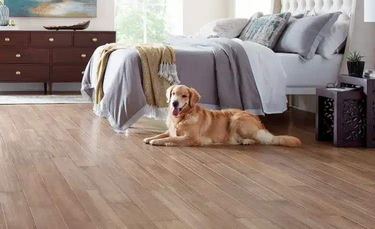 flooring for pet owners