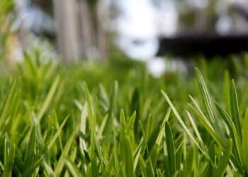 4 Ways to Enhance Your Home’s Exterior