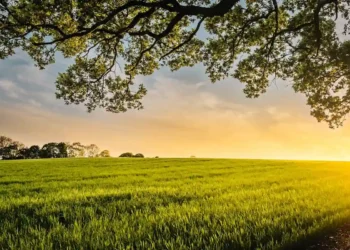 Best Affordable Land