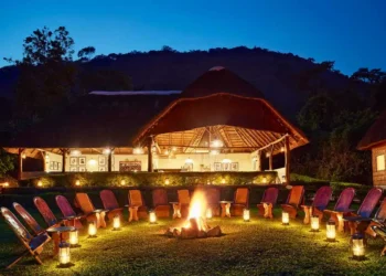 Gorilla Forest Lodge