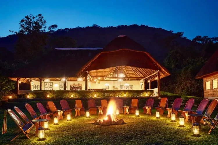 Gorilla Forest Lodge