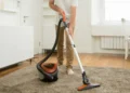 Professional Cleaning Service