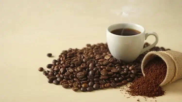 Top Microlot Coffee Brands